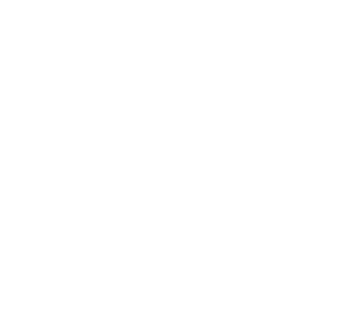 Wikipedia
